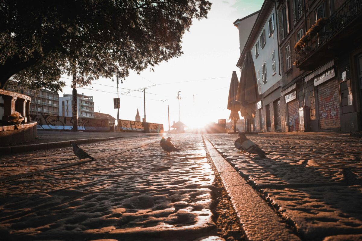 5 Astuces Simples pour Une Journée Zen